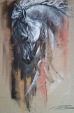 jean-guerrero - Animaux