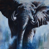jean-guerrero - Animaux