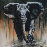 jean-guerrero - Animaux