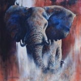 jean-guerrero - Animaux
