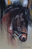 jean-guerrero - Animaux