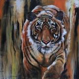 jean-guerrero - Animaux