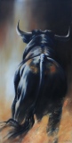 jean-guerrero - Animaux
