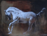 jean-guerrero - Animaux