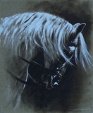 jean-guerrero - Animaux