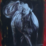 jean-guerrero - Animaux