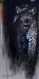 jean-guerrero - Animaux