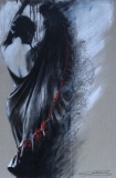 jean-guerrero - Flamenco